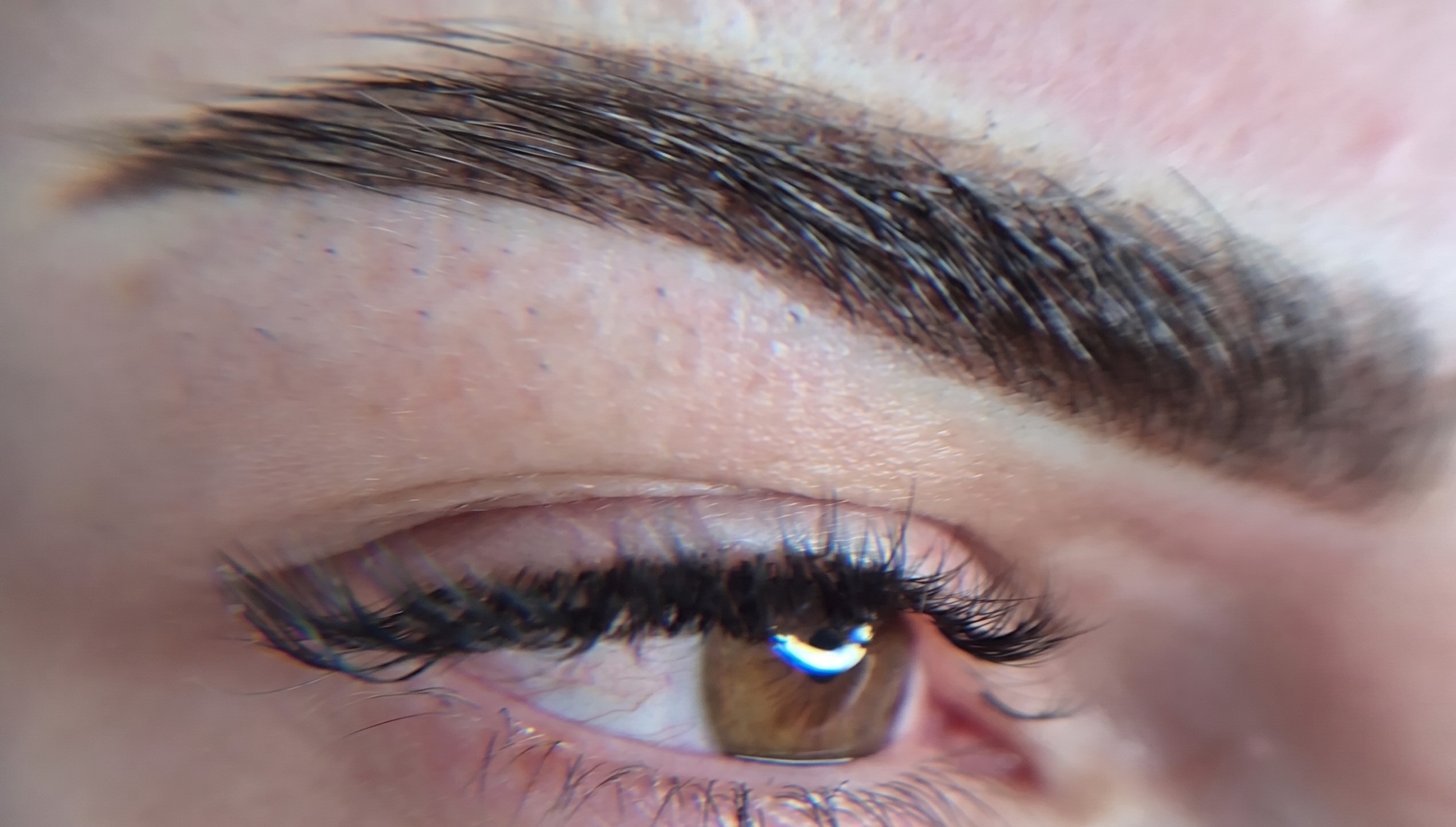 Powder Brows